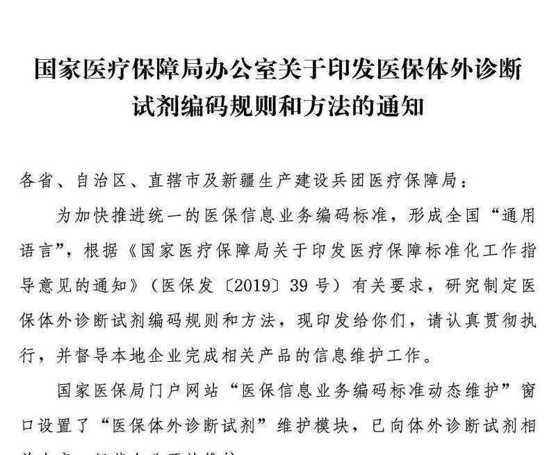 私服传奇发布攻略：选择、搭建、规则制定、安全保障、宣传招募、维护更新【精简】